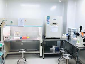 滑らかな完璧のためのシルクタッチコラーゲン血清CL02 - Product Image 6