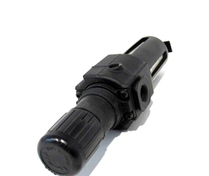 Filtro/regulador Excelon B74G-4AK-AD1-RMG 1/2 PTF 0.3-10 Bar con drenaje automático, filtro de 5um con manómetro, elemento filtrante de 5um con manómetro - Product Image 2