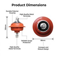 Parafoudre à oxyde de zinc basse tension CHHP HY1.5W-0.28/1.3 380V pour la protection contre la foudre dans la distribution électrique CN;ZHE