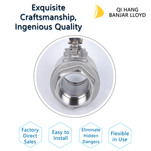 Thép không gỉ hai mảnh khí nén van bi với chủ đề nội bộ và bướm xử lý cho nước OEM tùy chỉnh - Product Image 6