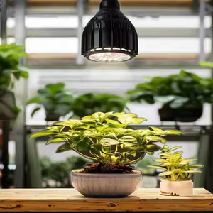 Lampe végétale 30W <span class=keywords><strong>à</strong></span> spectre complet Corps en aluminium avec ampoule verte pour le <span class=keywords><strong>soleil</strong></span> Araceae <span class=keywords><strong>Fleurs</strong></span> Succulent Root Growth Candle Plant Fill Light - Product Image 1
