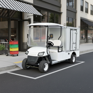 Carrito de Golf Eléctrico Todoterreno con Cajas de Carga, 72V, 4/8 Plazas, Doble Fila, Certificado DOT para Alquiler - Product Image 5