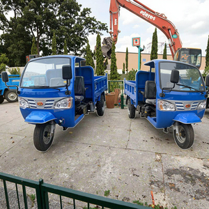 Triciclo Motorizado Agrícola Popular en Venta - Product Image 1