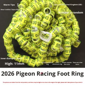 8mm <span class=keywords><strong>2026</strong></span> Duivenbanden Chinese Ronde Duivenpootringen voor Kweek- en Renduiven Gebruik in alle seizoenen - Product Image 3