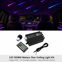 Lampe de plafond à fibres optiques LED 12V, lumière d'ambiance, éclairage de toit ciel étoilé pour voiture et camion