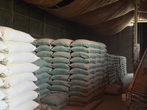 Meilleure vente 100% poudre de coquille de noix de coco naturelle crue et séchée avec une norme d'exportation élevée pour les applications agricoles - Product Image 6
