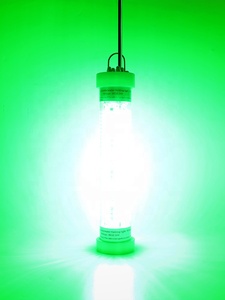 <span class=keywords><strong>Luz</strong></span> led para pesca submarina Señuelos de Pesca Marina iluminación de <span class=keywords><strong>mar</strong></span> azul - Product Image 4