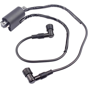 คอยล์จุดระเบิดยามาฮ่า 3LC-82310-01-00 สำหรับ YFZ350 1987-2004 อะไหล่ทดแทนรถจักรยานยนต์ออฟโรด - Product Image 1