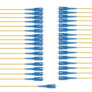 Séparateur <span class=keywords><strong>de</strong></span> Fiber optique FTTH Type <span class=keywords><strong>de</strong></span> queue <span class=keywords><strong>de</strong></span> cochon Type <span class=keywords><strong>de</strong></span> Cassette SC UPC APC 1 32 séparateur PLC <span class=keywords><strong>de</strong></span> Fiber optique - Product Image 1
