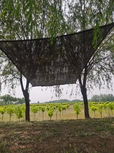 Malla de <span class=keywords><strong>Sombra</strong></span> para Exteriores, Impermeable, para Jardín, Terraza, <span class=keywords><strong>Toldo</strong></span>, Protección UV, Tela de Protección Solar - Product Image 6