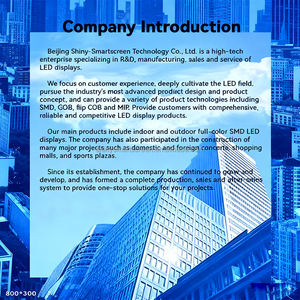 Schermo LED Interno Personalizzato ad Alta Definizione a Colori, Schermo LED Flessibile Curvo Rotondo, Schermo Creativo di Forma Irregolare - Product Image 6