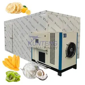 Heat pump fruit and vegetable dryer/dehydrator machine fruit cleaning dryer fruit chips dryer price