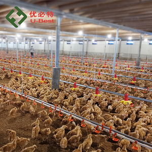 Attrezzatura Automatica di Nuovo Design per Allevamento Avicolo, Pollaio per Allevamenti di Polli da Carne - Product Image 1