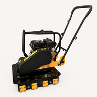 Compacteur de plaques de pavés à grande base pour entrepreneur, idéal pour la construction de trottoirs publics – Meilleur prix