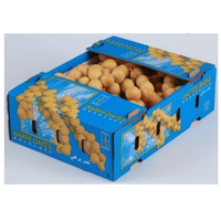 Cairo Fresh Premium Verse Egyptische Barhi Dadels Model Barhi-2025 Hoge Kwaliteit Natuurlijke Zoetheid Klaar voor Export naar Bangladesh