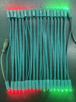 Guirlandes lumineuses LED à pixels RGB DMX 512 de 12 mm, câble vert, blanc, noir, pour jardin, supermarché, usage domestique, IP68, PVC, DC12V, CRI90, dimmable