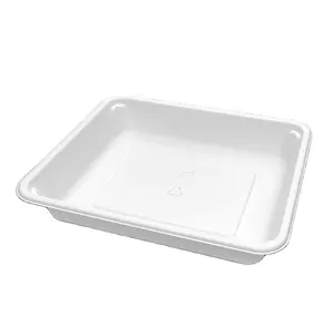 Bandeja biodegradável do alimento Lancheira descartável O refrigerador fresco da bandeja dos legumes congelados e dos frutos do alimento parte inferior bandeja PCC