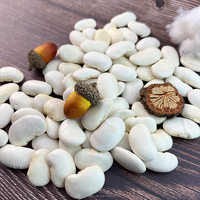 Grosses Haricots Blancs Nouvelle Récolte 45-50 Grains Directement De Chine