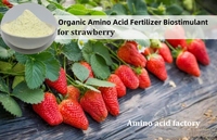 Aminoácidos Enzimáticos 80% con Nitrógeno 14-16% Aminoácidos a Granel Personalizados al por Mayor para la Agricultura