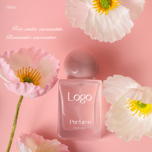 Proprio logo <span class=keywords><strong>profumo</strong></span> più venduto vendita all'ingrosso importazione <span class=keywords><strong>profumo</strong></span> dalla cina <span class=keywords><strong>profumo</strong></span> per la <span class=keywords><strong>casa</strong></span> - Product Image 4