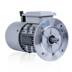 Y2EJ Motor Elektrik 3 Fase, Kualitas Tinggi dengan Rem 2 4 Tiang 0,12 KW 1,5 KW 4KW 35KW 90KW Ac Motor Aluminium untuk Peralatan Kelautan