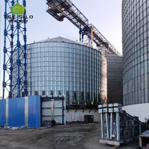 Silo en acier galvanisé à fond conique de haute qualité pour le stockage du blé et du riz, capacité de 500T à 1000T, certifié ISO CE, longue durée de vie - Product Image 1