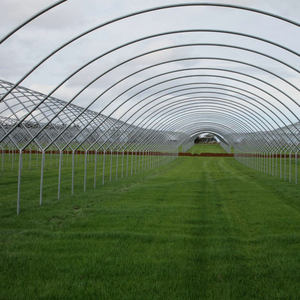 In Inflatable Blueberry <strong>Greenhouse</strong> with <strong>Etfe</strong> <strong>Greenhouse</strong> Film - Product Image 3