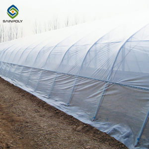 <span class=keywords><strong>Serre</strong></span> à film PE à portée unique avec cadre en acier galvanisé <span class=keywords><strong>Serre</strong></span> à petit tunnel économique pour l'agriculture des fleurs et des plantes - Product Image 5