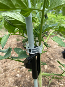 Beli untuk 12 'atau lebih panjang 3/4 "batang serat kaca pasak FRP untuk pasak pembibitan pohon jeruk - Product Image 6