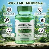 Prix de gros OEM – Capsules d'extrait de Moringa pur, cru et végétalien pour l'énergie et le soutien immunitaire des adultes – Emballage de qualité alimentaire
