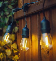 Tira de luces led con Wifi para decoración navideña, tira de luces LED con filamento, a prueba de agua IP65