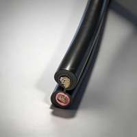 PV1-F Solar-Gleichstromkabel 6mm 10mm 4mm² Verzinntes Kupfer XLPO-Isolierung 1500V Photovoltaik-Kabel für Solaranlagen