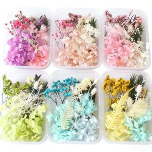 Kit <span class=keywords><strong>de</strong></span> fleurs séchées DIY pour bougies parfumées, accessoires <span class=keywords><strong>de</strong></span> fabrication <span class=keywords><strong>de</strong></span> cartes, fleurs séchées artisanales, petites fleurs <span class=keywords><strong>de</strong></span> <span class=keywords><strong>pampa</strong></span> - Product Image 5