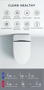 110V/220V Modern Electric Intelligent Smart Wc <strong>Toilet</strong> Bowl Automatic <strong>Black</strong> Smart <strong>Toilet</strong> with Bidet Seat Heating - Product Image 6