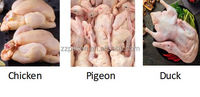 Máquina Automática para Extraer Pulmones de Pollo, Pistola de Succión al Vacío para Pulmones de Pollo, Máquina de Succión de Pulmones para Aves de Corral