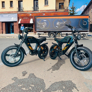 CE Certified 48V 1000W <strong>E</strong>-Tour R8 Plus Electric Mountain <strong>Bike</strong> X20 24" Fat Tire Long Range 30AH Lithium Rear Hub Sport - Product Image 1