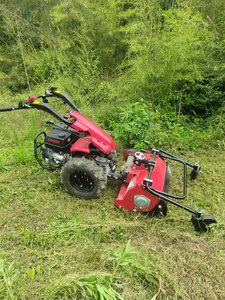 Machine agricole polyvalente pour les services de <span class=keywords><strong>tonte</strong></span> de pelouse et d'aménagement paysager - Product Image 2