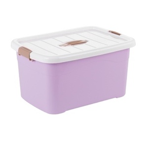 แม่พิมพ์กล่องเก็บของพลาสติก แม่พิมพ์คุณภาพสูงเพื่อการจัดระเบียบที่มีประสิทธิภาพ - Product Image 1