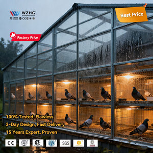 Granjas de Palomas con Estructura de Acero Rurales con Diseño Resistente a la Intemperie para Uso en Exteriores - Product Image 2