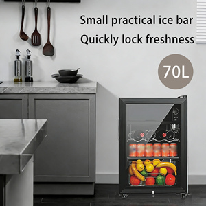 Prix de gros usine – Bar à glace portable 70L, style moderne, petite capacité, dégivrage manuel, 220V/50Hz, pour hôtel et usage domestique - Product Image 3