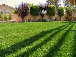 בית גן דשא מלאכותי שטיח דשא מלאכותי דשא דשא