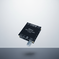 Module d'amplificateur de puissance numérique stéréo HIFI XINYI XY-C100H 100W TPA3116
