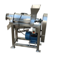 Professionele ananassap-extractiemachine met hoge opbrengst spiraalpers voor fruit en groenten, appel- en gemberpers.