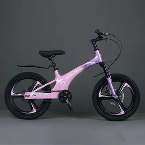 Vélo de montagne pour enfants de 2 à 7 ans, 20 pouces, best-seller, cadre en alliage de magnésium, pour les grands garçons, sports de plein air - Product Image 1