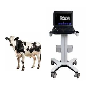 Best Selling Machine Veterinary Ultrasound Scanner Equipment For Cat Dog Machine
