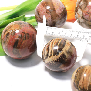 Esfera de madera petrificada de cristal Natural de gran oferta, esfera de madera fósil curativa espiritual pulida para Fengshui espiritual - Product Image 4