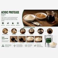 Enzyme protéase acide à faible pH, poudre de protéase acide fongique pour la hydrolyse des protéines, la fabrication de la sauce soja, qualité alimentaire et pour l'alimentation animale