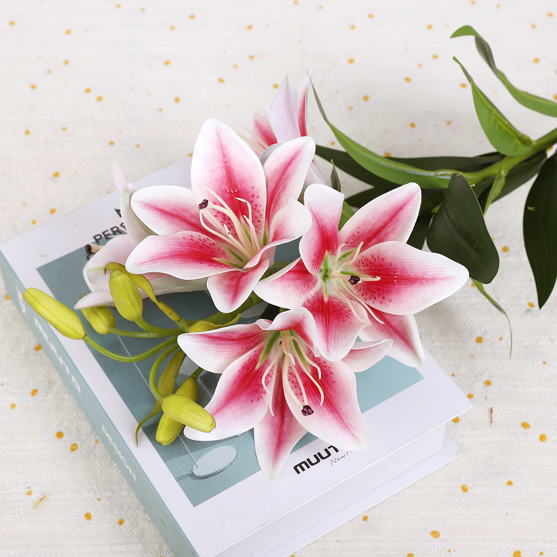 สีชมพูเข้ม