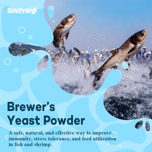 Fabbrica Della cina lievito di Birra in anguilla feed - Product Image 5