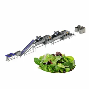 Новая промышленная линия обработки салата, стиральная машина для салата, линия для резки овощей